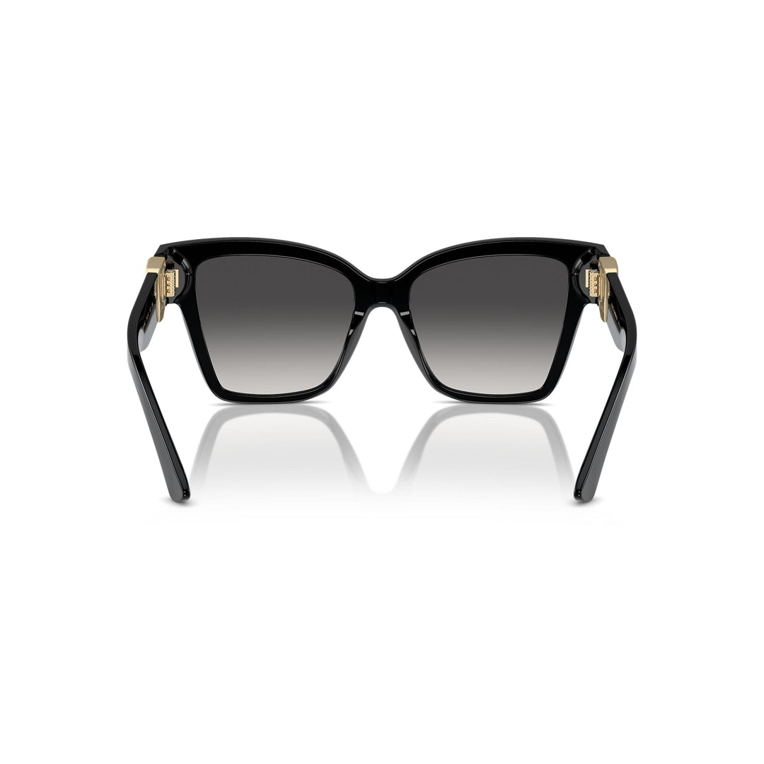 DG4470 501/8G 54-17 photo