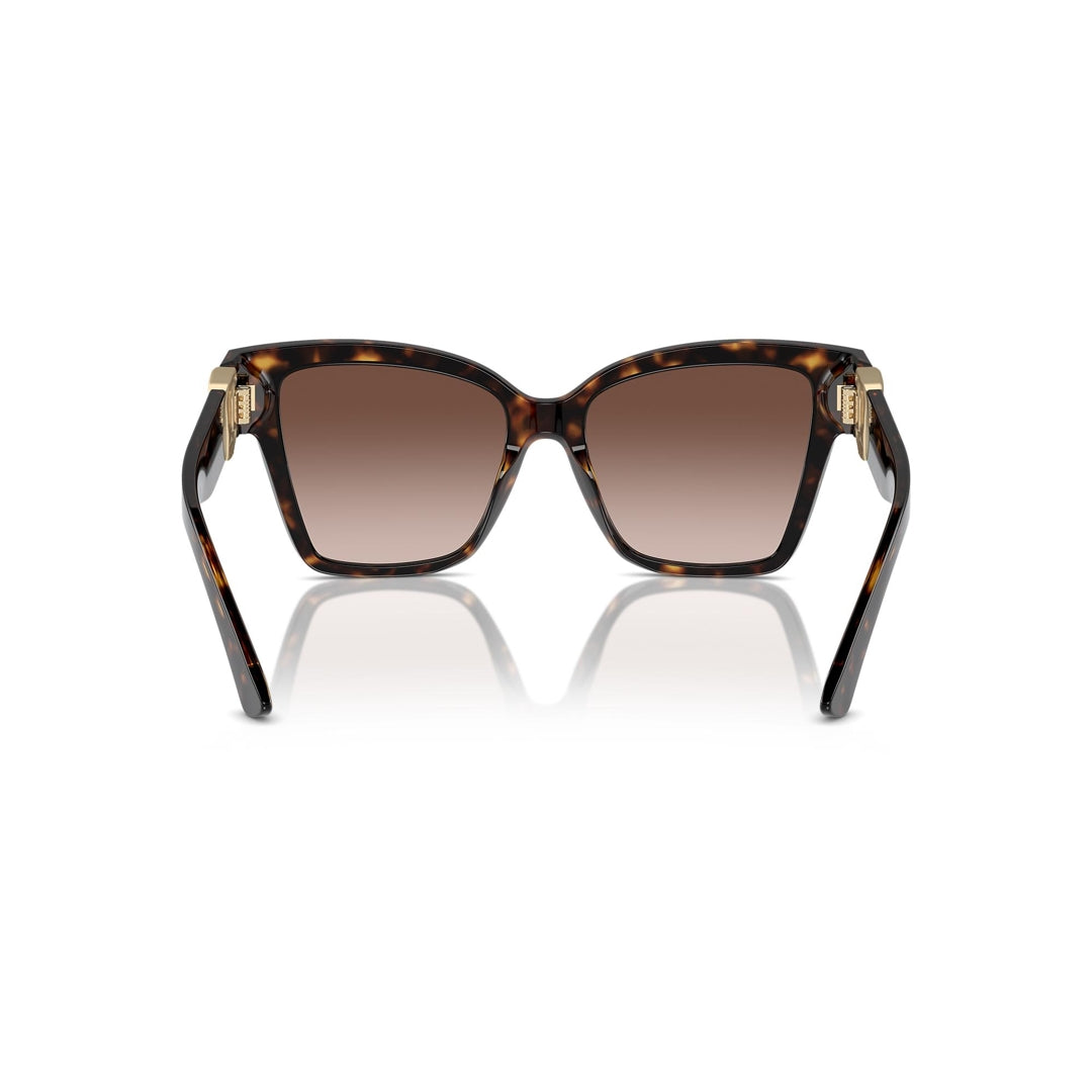 DG4470 502/13 54-17 photo