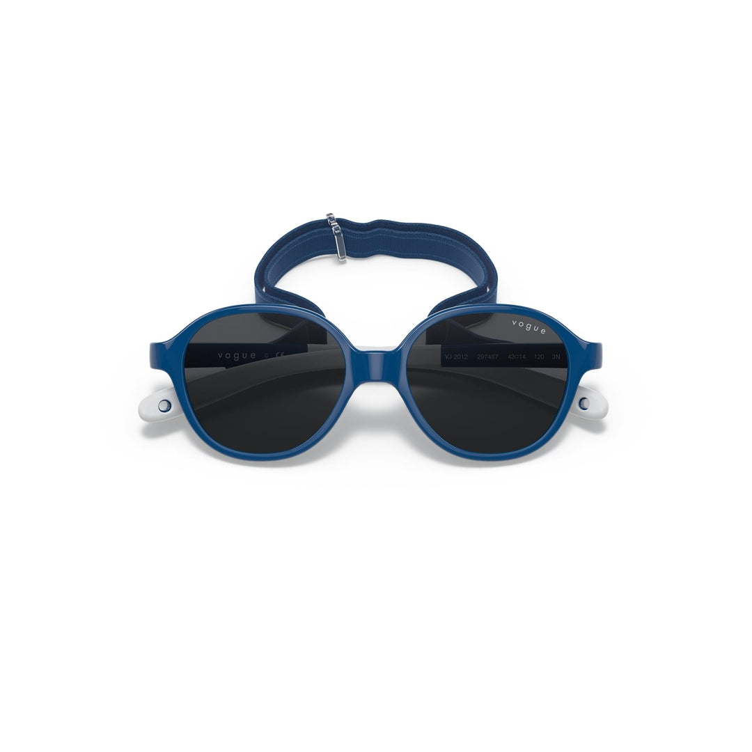 VJ2012 297487 43-14 photo