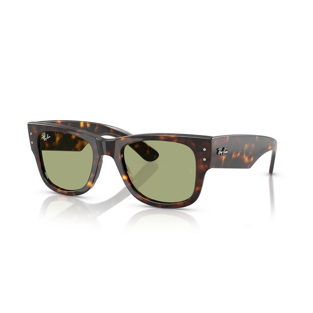 RB0840S 902/4E 51-21 Mega Wayfarer photo