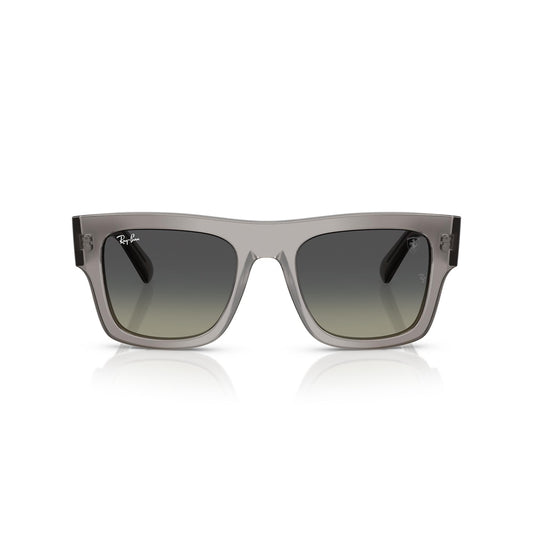 RB2217-M F704/11 53-21 photo