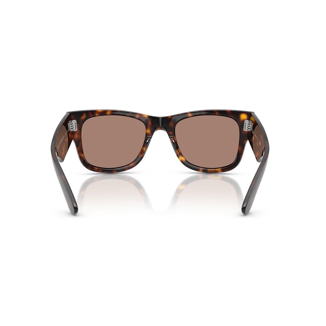 RB0840-S 902/1A 51-21 Mega Wayfarer photo