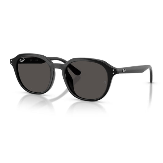 RB4459D 901/87 54-19 photo