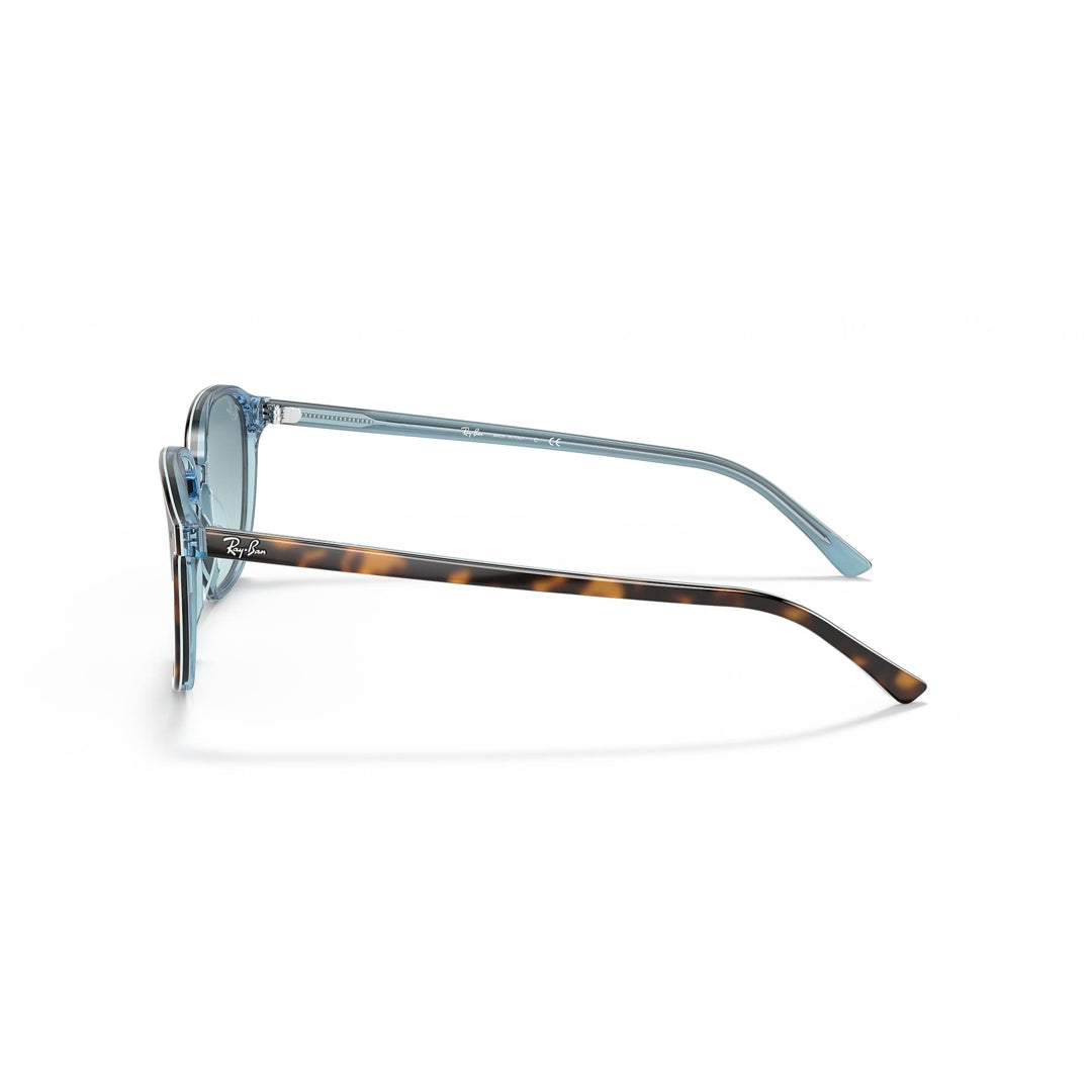 RB2193 1316/3M 53-18 Leonard photo