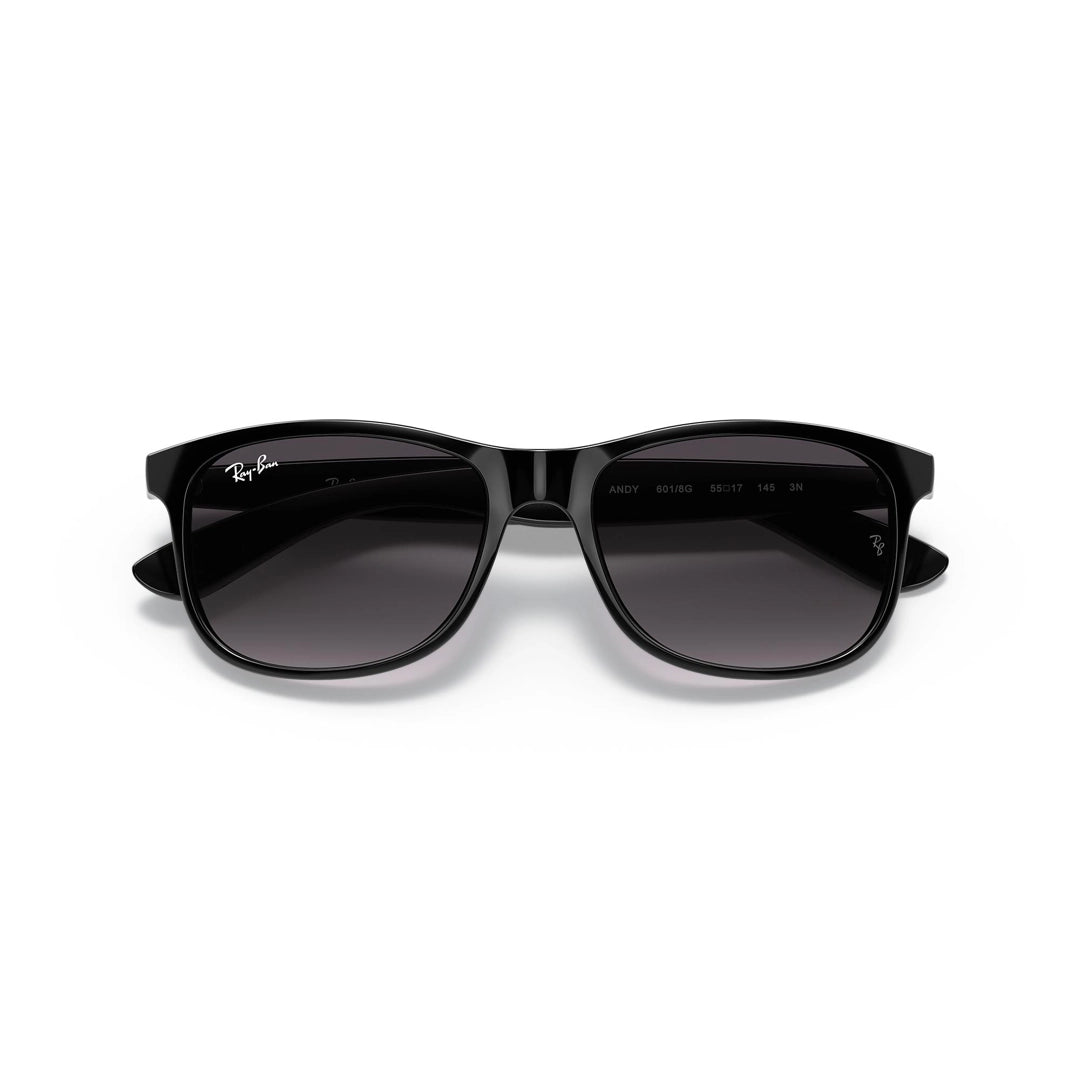 RB4202 601/8G 55-17 Andy photo