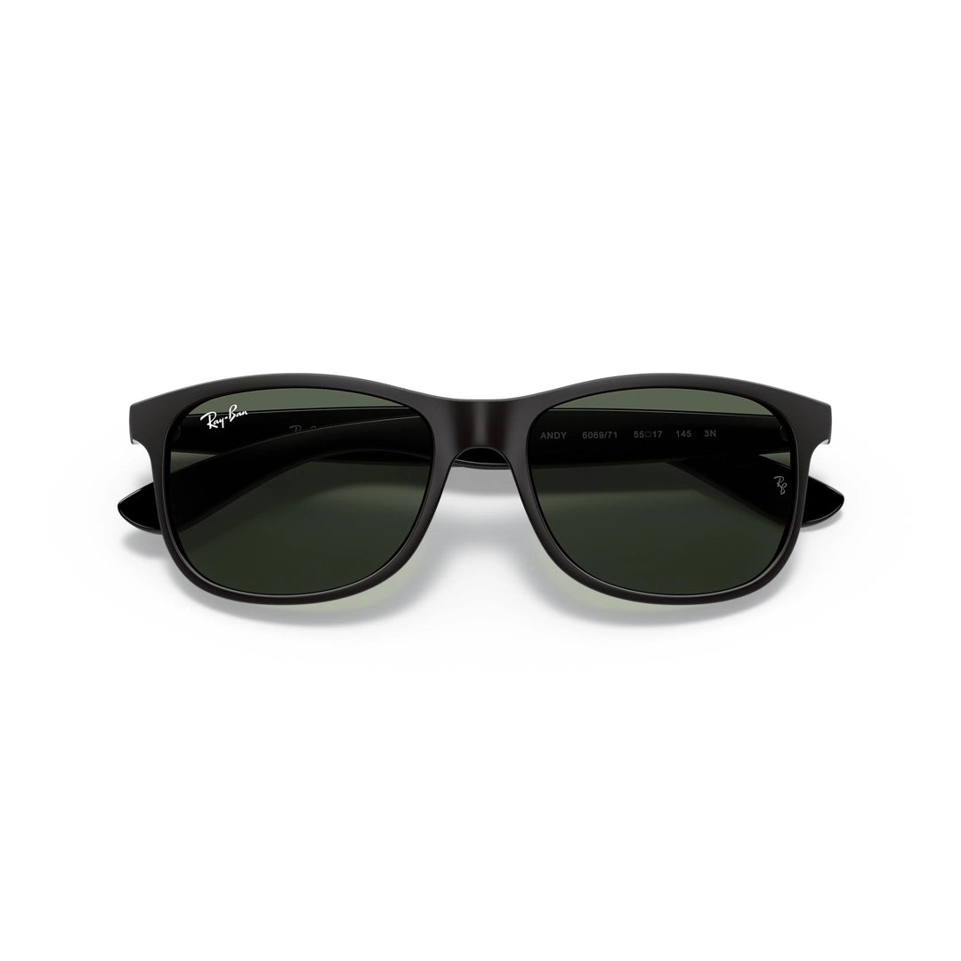 RB4202 6069/71 55-17 Andy photo