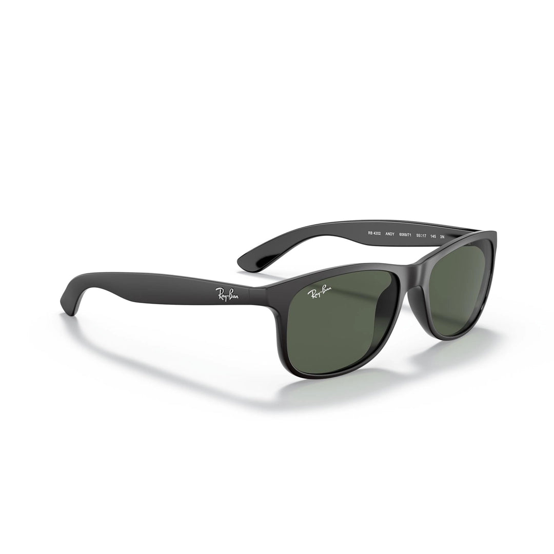 RB4202 6069/71 55-17 Andy photo