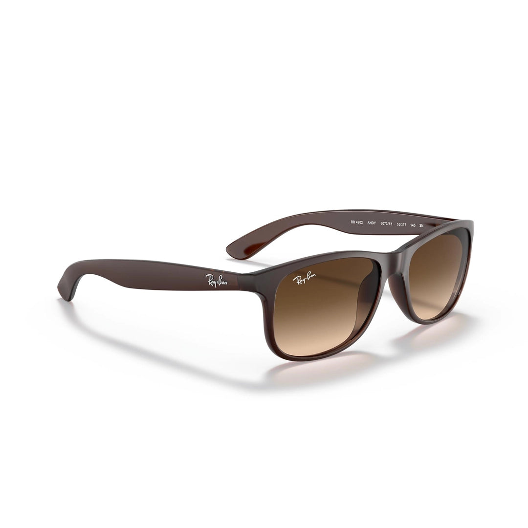 RB4202 6073/13 55-17 Andy photo