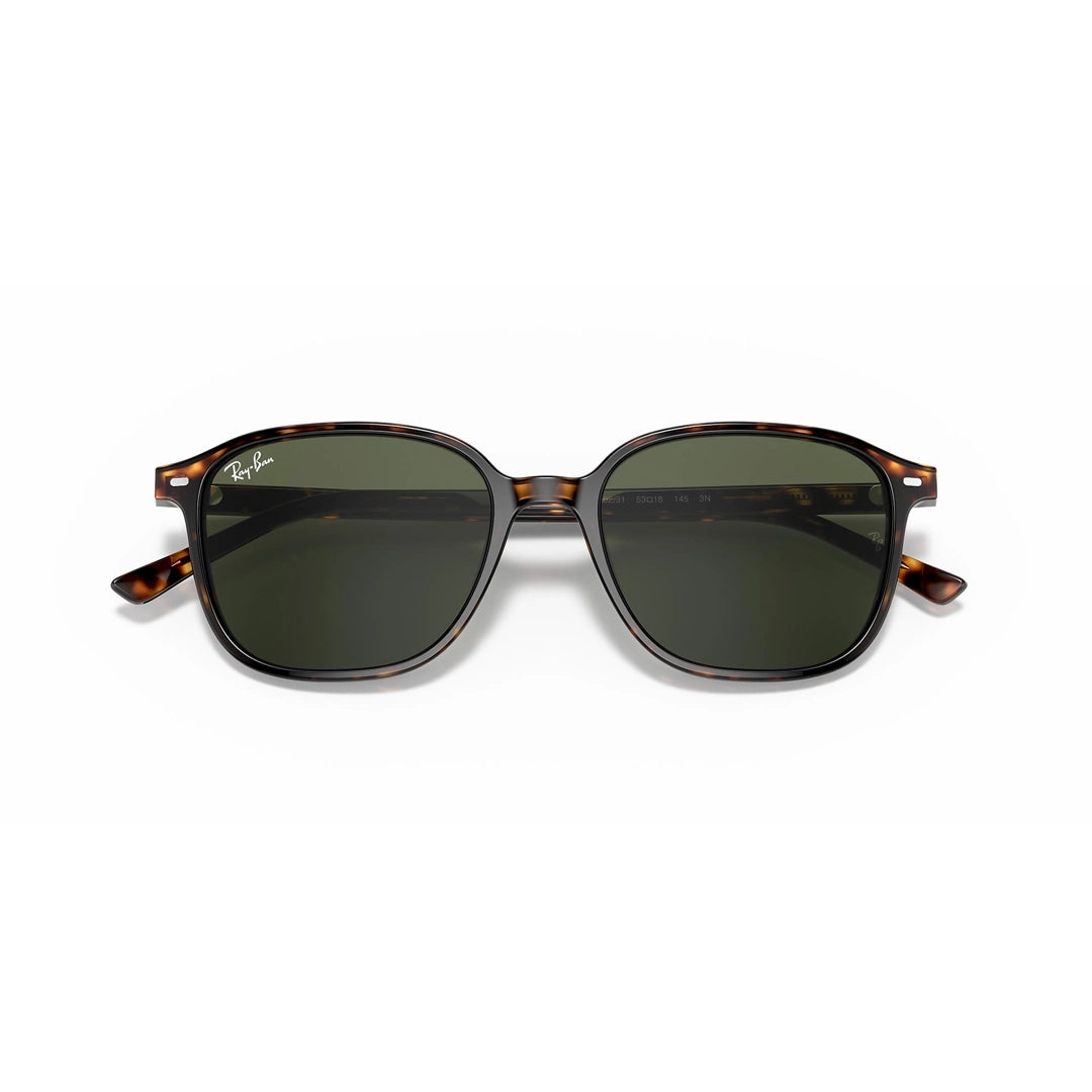 RB2193 902/31 53-18 Leonard photo