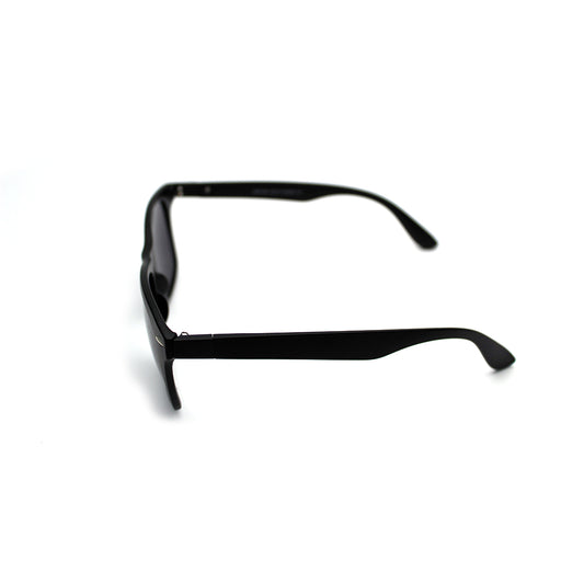 AEP1601 CP1 52-20 photo