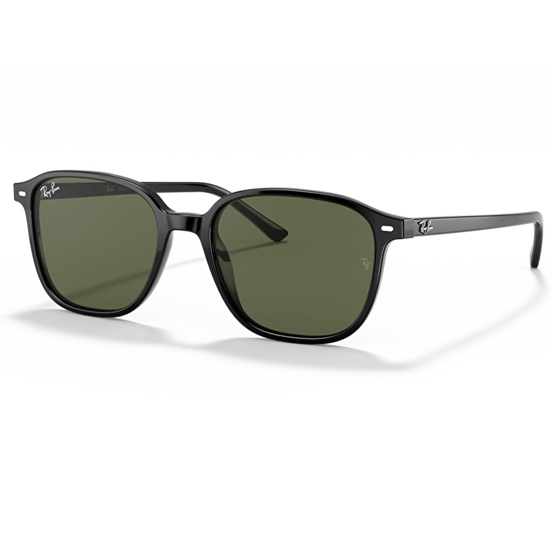 RB2193 901/31 55-18 Leonard photo