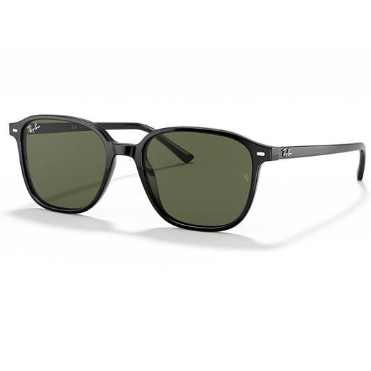 RB2193 901/31 55-18 Leonard photo