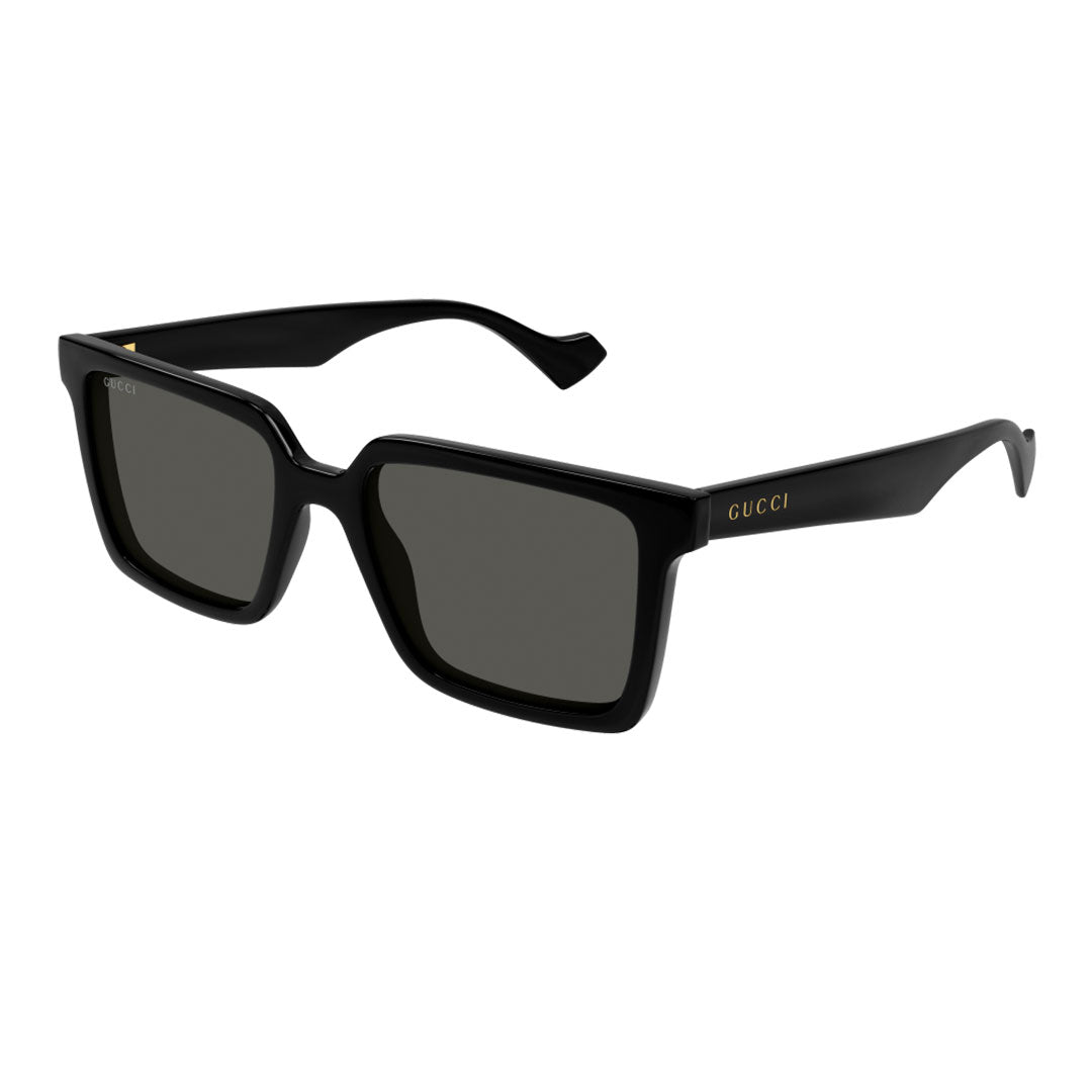 GG1540S 001 55-18 photo