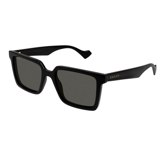 GG1540S 001 55-18 photo