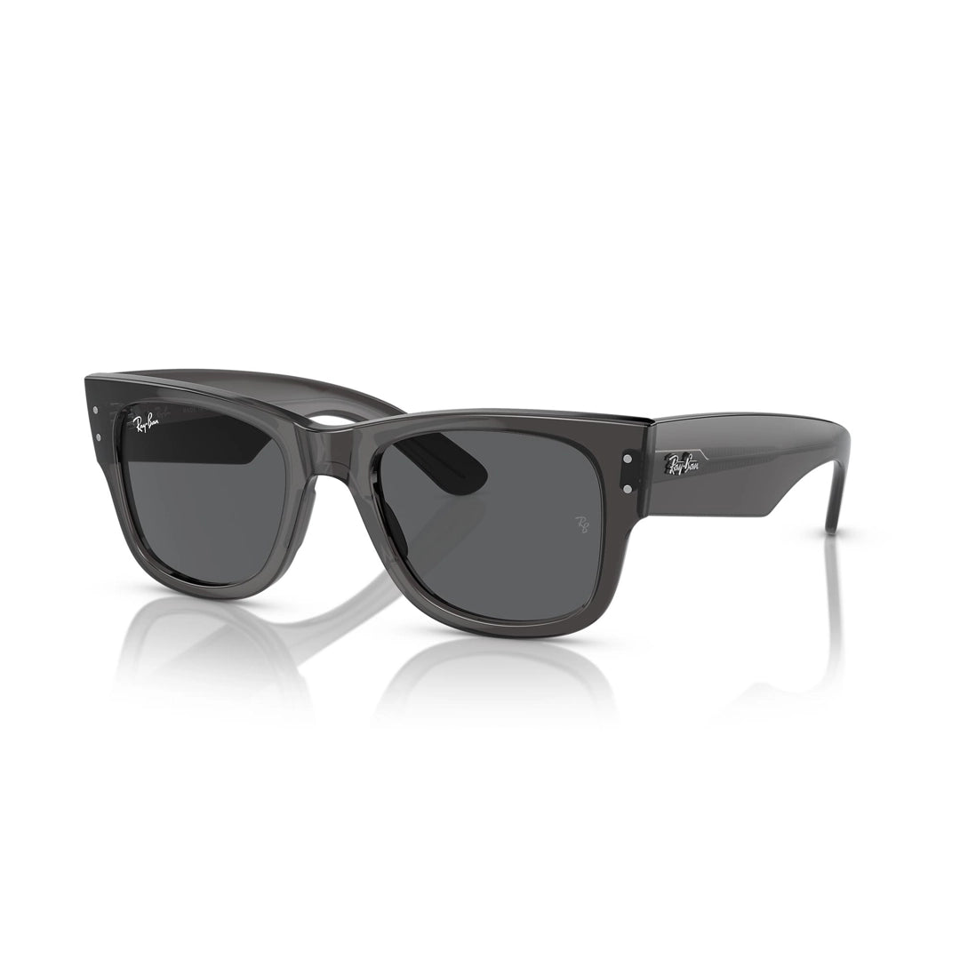 RB0840S 1406/B1 51-21 Mega Wayfarer photo