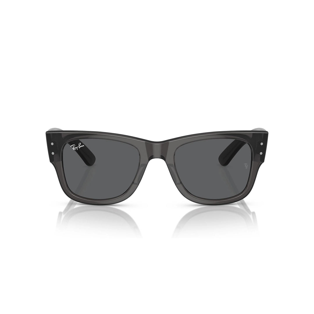 RB0840S 1406/B1 51-21 Mega Wayfarer photo