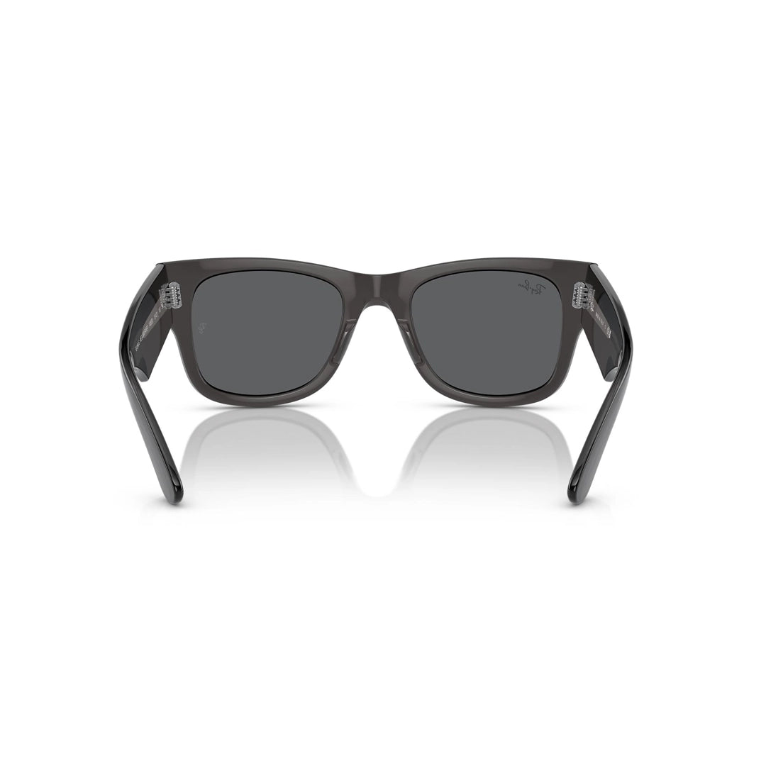 RB0840S 1406/B1 51-21 Mega Wayfarer photo