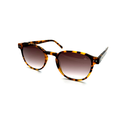 LL1155 C4 50-21 photo